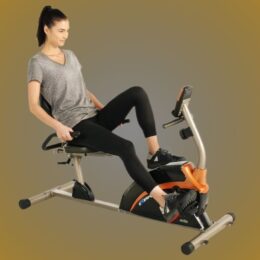 Best Exercise Bike for Seniors with Arthritis